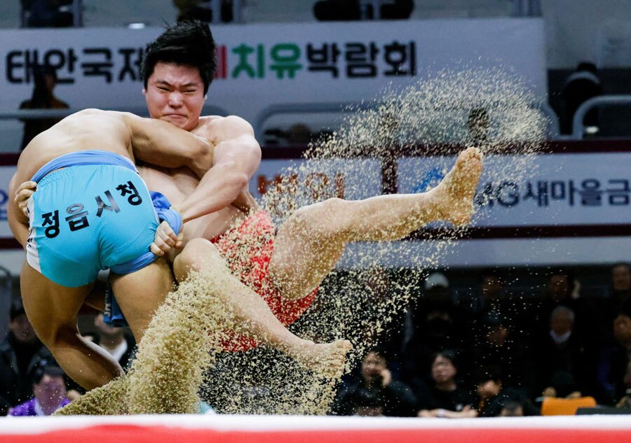 دو کشتی‌گیر سنتی کره جنوبی