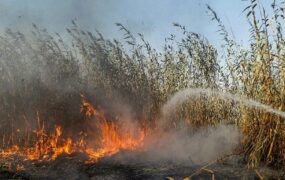 آتش‌سوزی در تالاب انزلی مهار شد