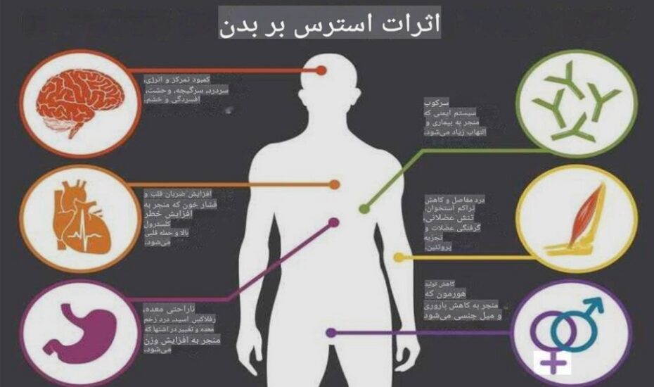 از مشکلات پوستی تا اختلال باروری و راه‌های فوری کاهش آن