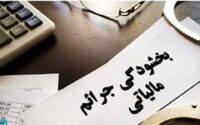 اعلام بخشودگی جرایم مالیاتی تا سقف ۷۰۰ میلیون تومان برای فعالان اقتصادی