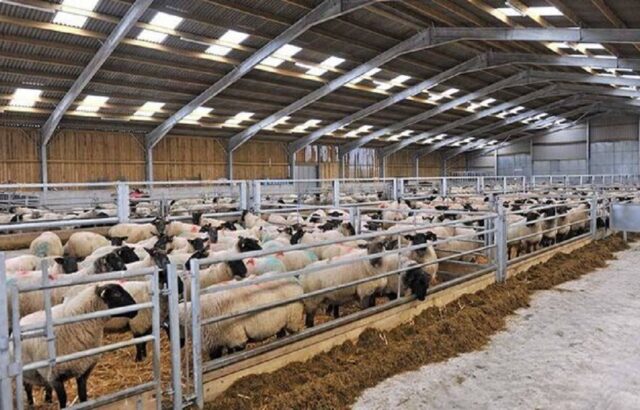 اعلام هزینه قربانی برای حجاج سال ۱۴۰۵