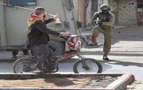 دیدنی های امروز