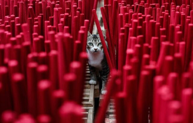 دیدنی های امروز