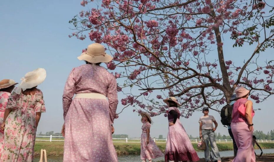 دیدنی های امروز