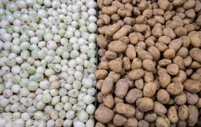 سیب+زمینی+پیاز