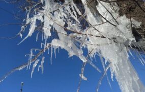موج برف و سرمای شدید