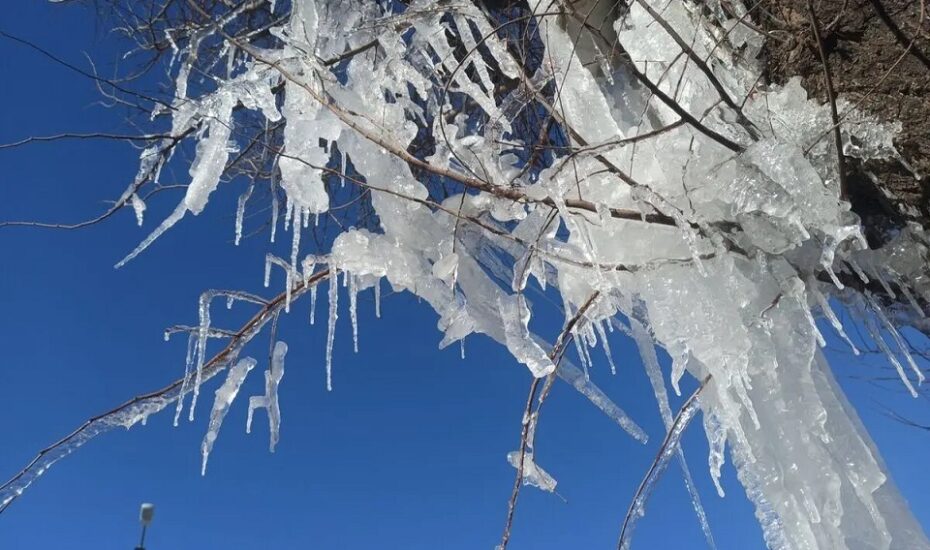 موج برف و سرمای شدید
