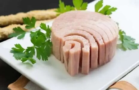 هشدار درباره مصرف زیاد ماهی تن: تجمع جیوه و خطر برای سیستم عصبی