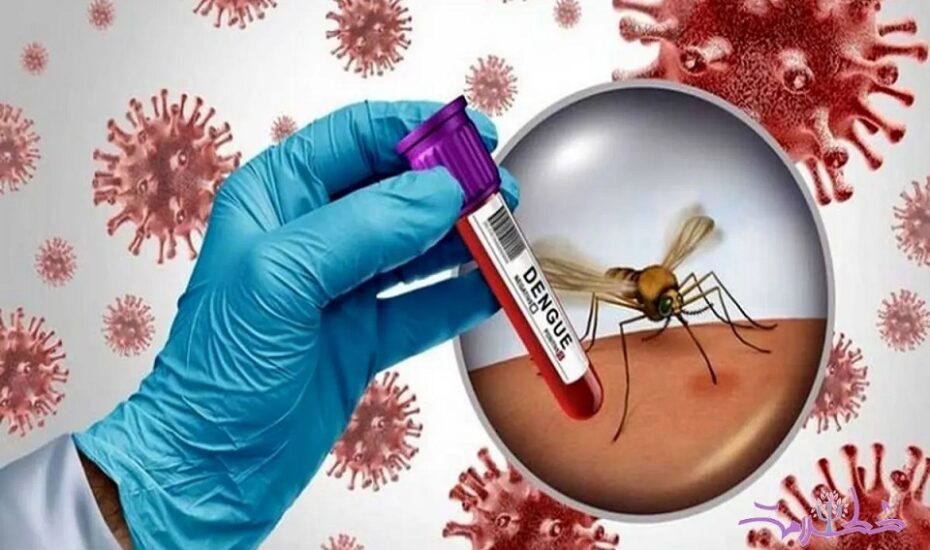هشدار وزارت بهداشت درباره ادامه شیوع بیماری‌های تنفسی و کنترل تب دنگی