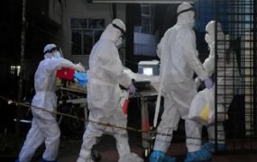 ویروس «نیپا» چیست و میزان خطر آن چقدر است؟ ویروس نیپا