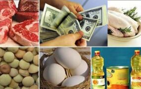 پس از حذف ارز ترجیحی؛ آرامش در بازار و کاهش قیمت تخم‌مرغ