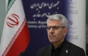 بقایی: ایران نگهدار تنگه هرمز است بقایی