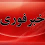 خبر فوری