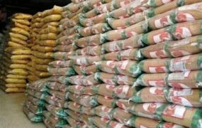 قیمت برنج