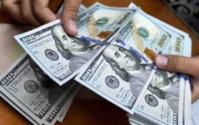 قیمت دلار و ارز ۲۵ اسفند ۱۴۰۴ قیمت دلار و ارز