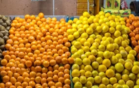 قیمت+میوه