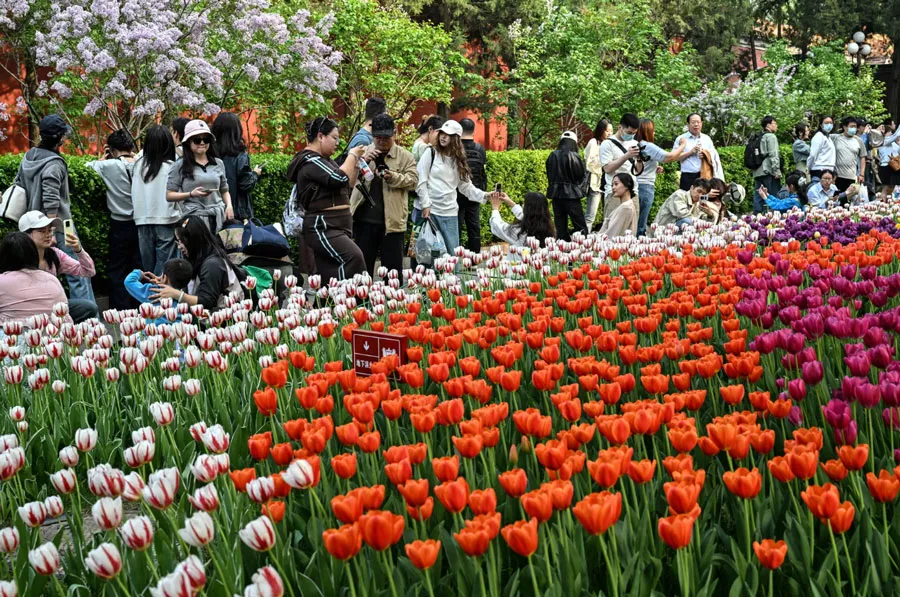 دیدنی های امروز؛ از مسابقه ماراتن ربات ها تا تور آفریقایی پاپ شکوفه دادن گل های لاله در پارک "ژونگشان"