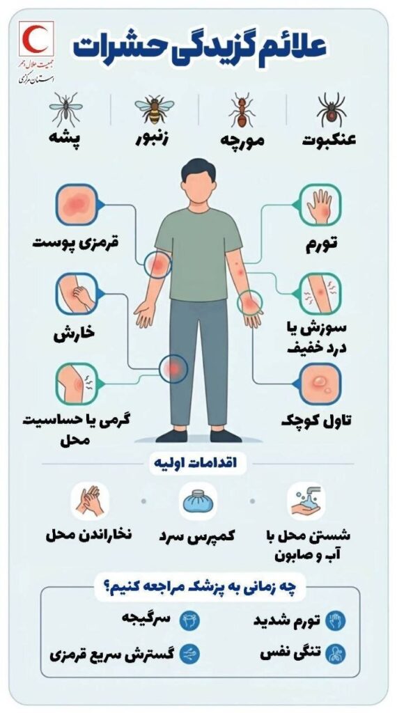 در چه شرایطی بعد از گزیدگی باید به پزشک مراجعه کرد؟ در چه شرایطی بعد از گزیدگی باید به پزشک مراجعه کرد؟