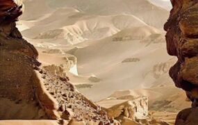 علی دایی ترامپ