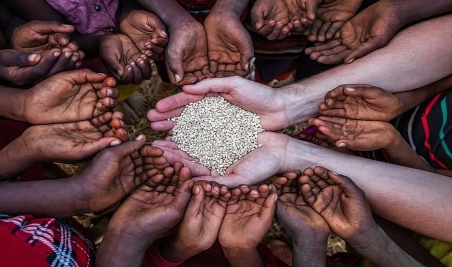 قحطی در جهان جنگ در خلیج فارس