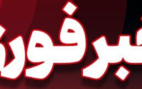 خبر فوری