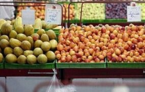 ساعت جدید فعالیت میادین و بازارهای میوه و تره‌بار