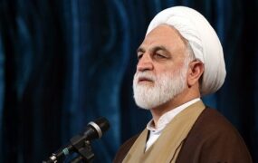 محسنی اژه ای