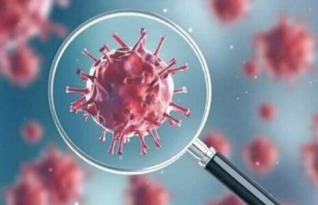 توضیح وزارت بهداشت درباره سویه «سیکادا» کرونا