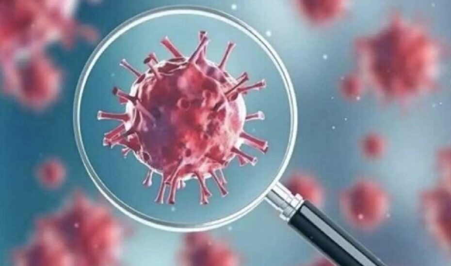 توضیح وزارت بهداشت درباره سویه «سیکادا» کرونا