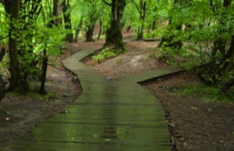صدور دو هشدار مهم سازمان هواشناسی