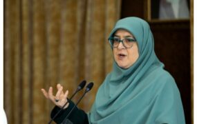 سخنگوی دولت: مشکلی در تامین ورق های فولادی وجود نخواهد داشت فاطمه+مهاجرانی+_ (1)