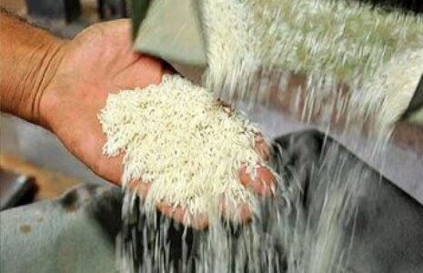 قیمت برنج