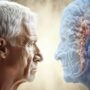 ۷ عادت خطرناکی که پیری مغز را تسریع می‌کنند