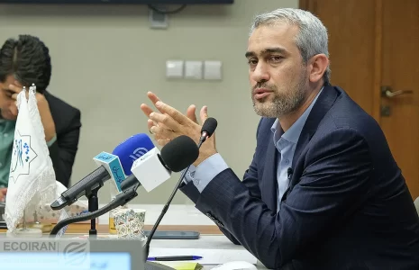 علی+مدنی+زاده