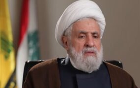 نعیم قاسم