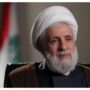 نعیم+قاسم+_