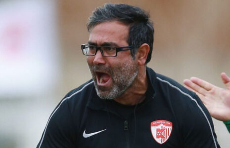 هادی مهدوی کیا