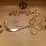 شورای+نگهبان+