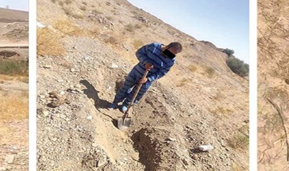 قتل هولناک همسر به خاطر شک به خیانت