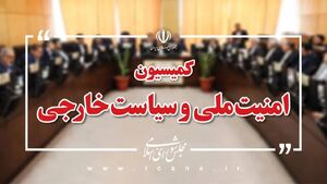 کمیسیون امنیت ملی