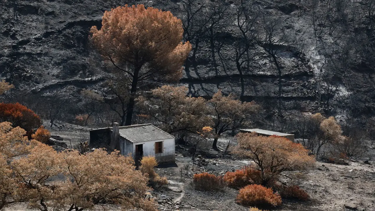 آتش سوزی جنگلی در اسپانیا
