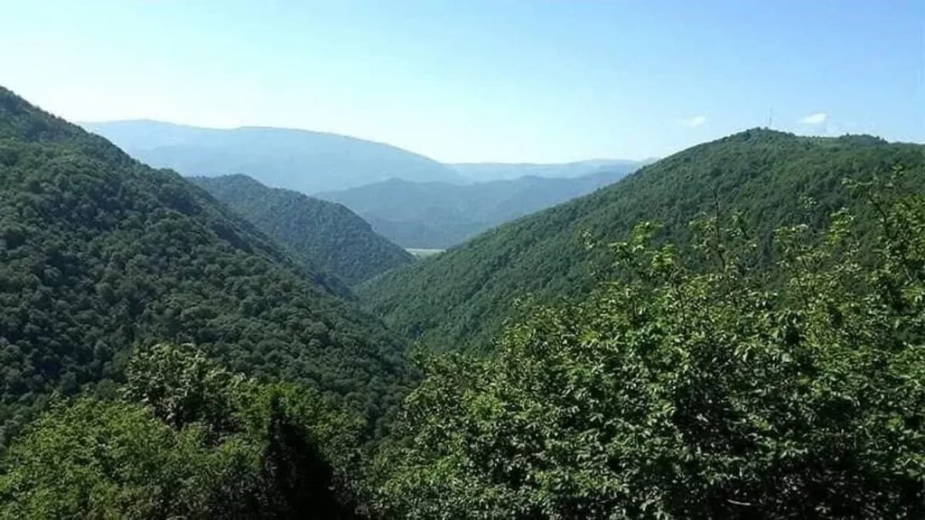 جوان گمشده جنگل‌های تالش گیلان
