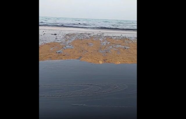 سواحل قشم آلودگی نفتی