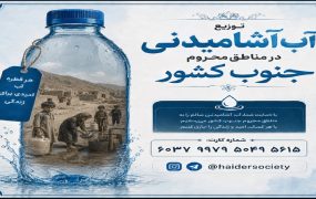 محسن چاوشی
