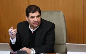 محمد+مخبر (1) (1)
