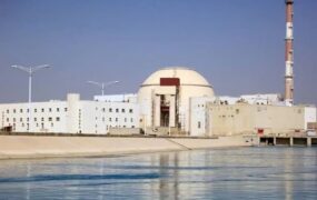 مدیرعامل روس اتم