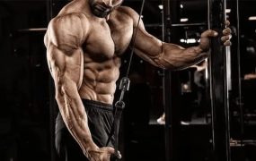 مسابقات پرورش اندام