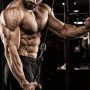 مسابقات پرورش اندام
