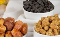 مغز