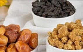 مغز